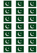 Bunch of Pakistani Flag LOGO stickers small