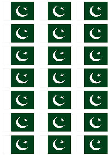 Bunch of Pakistani Flag LOGO stickers small