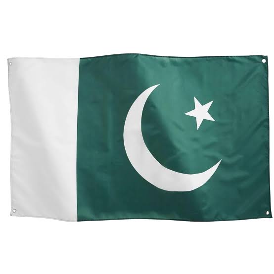 Pakistan Flag small