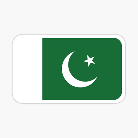 Bunch Of Pakistani Flag LOGO stickers Medium