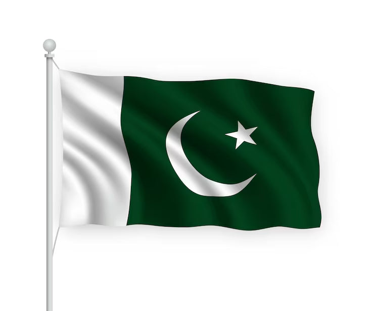 Pakistan Flag small